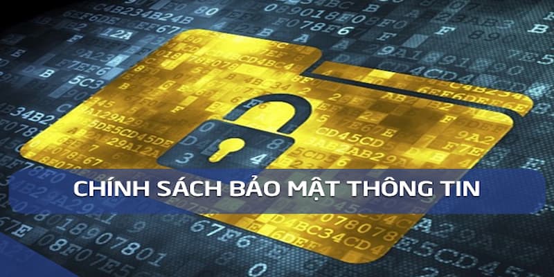Những lưu ý quan trọng giúp người chơi tăng cường bảo mật tài khoản cá cược